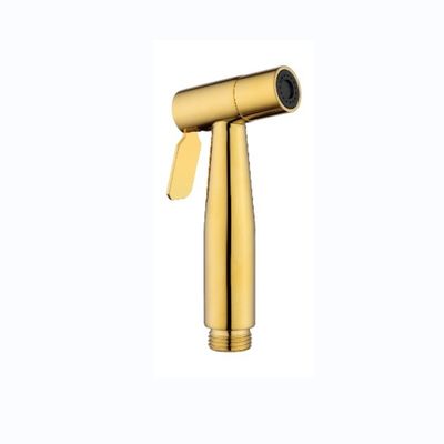 Plastique 304 en acier inoxydable salle de bain Bidet Toilette Tête de douche
